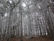 DSCN4253.JPG