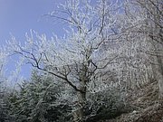 DSCN4262.JPG