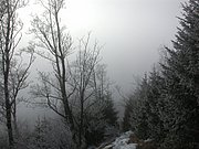 DSCN4264.JPG