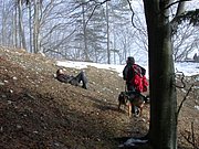 DSCN4265.JPG