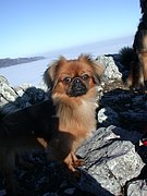 DSCN4285.JPG