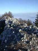 DSCN4298.JPG