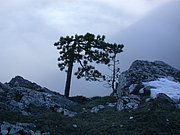 DSCN4299.JPG