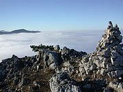 DSCN4307.JPG