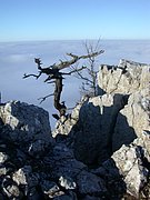 DSCN4308.JPG