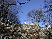DSCN4310.JPG