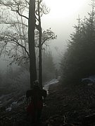 DSCN4311.JPG