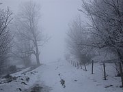DSCN4313.JPG