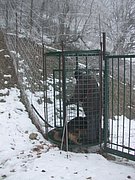 DSCN4314.JPG
