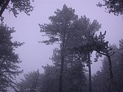 DSCN4316.JPG