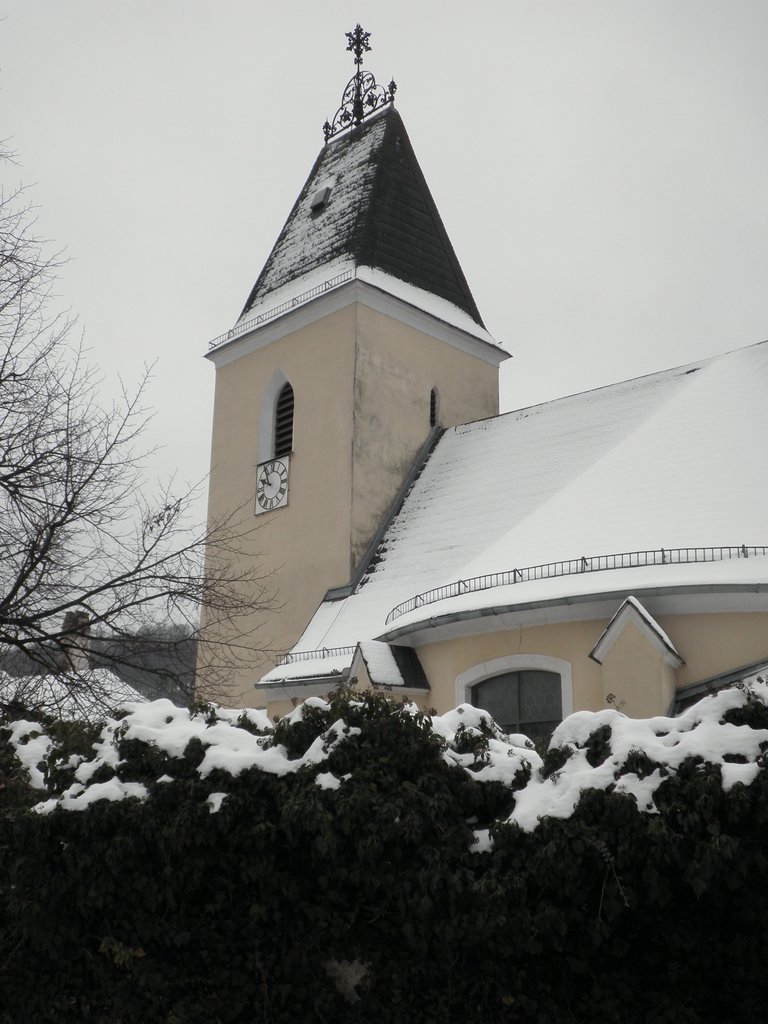 P1170025.JPG