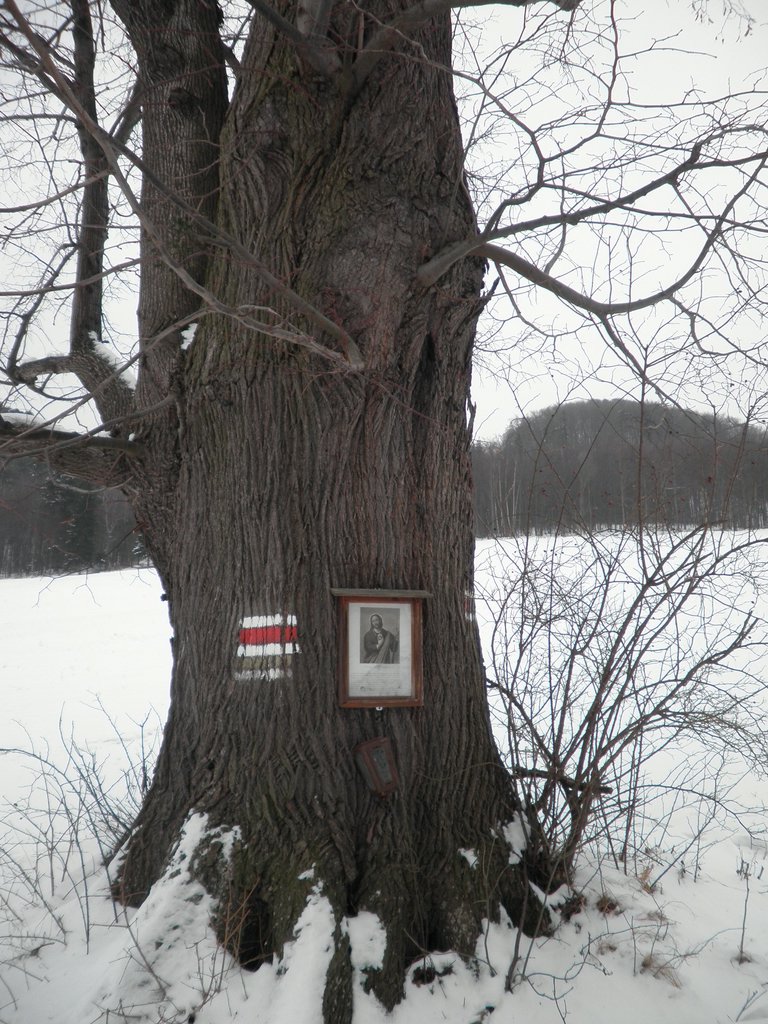 P1170026.JPG