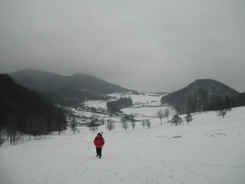 P1170028.JPG