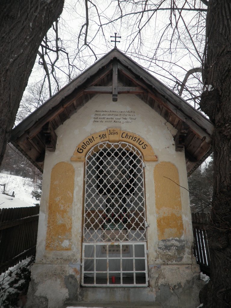 P1170030.JPG