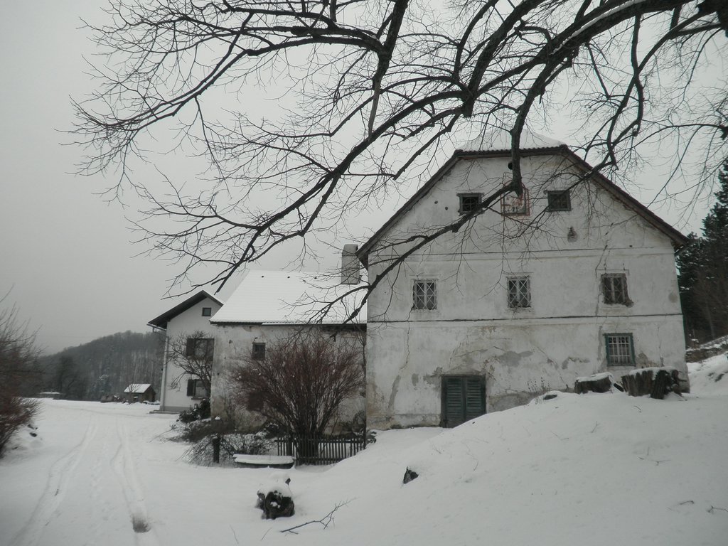 P1170031.JPG