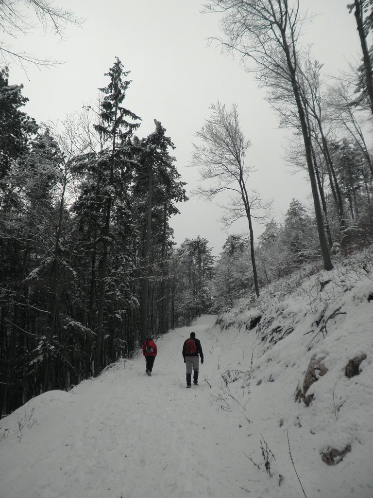 P1170033.JPG