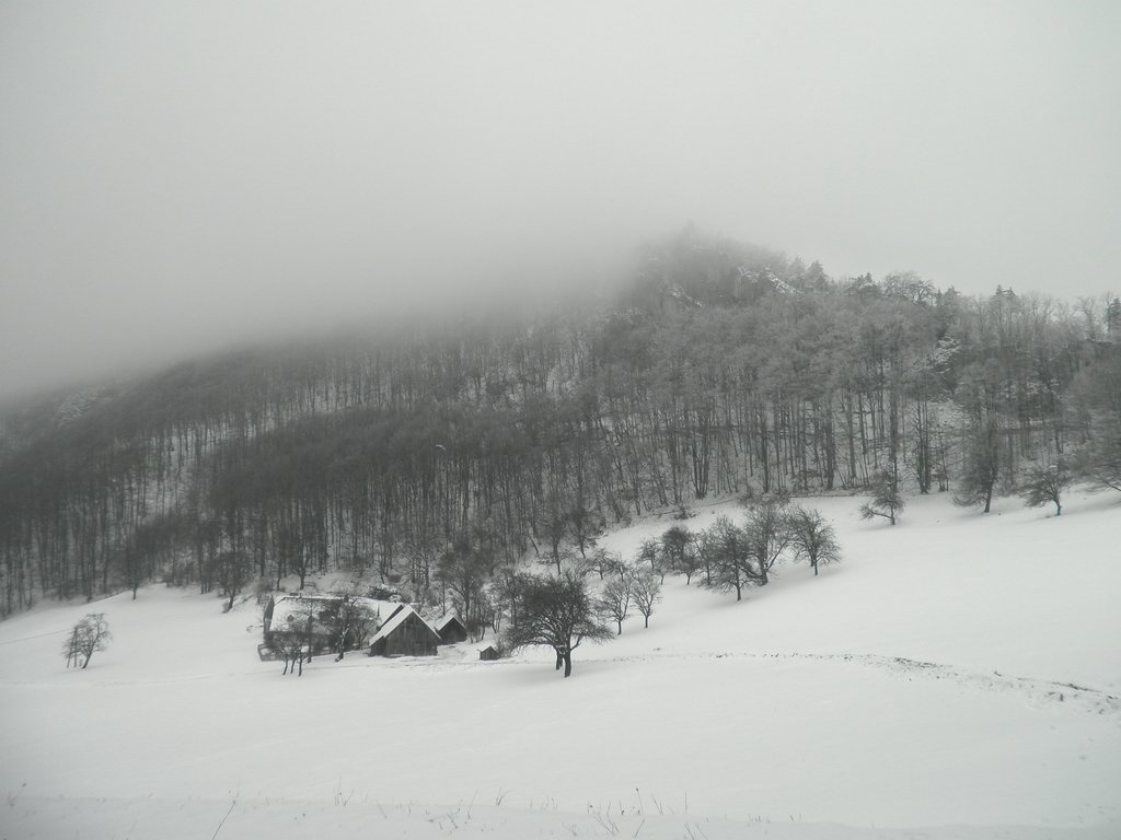 P1170034.JPG
