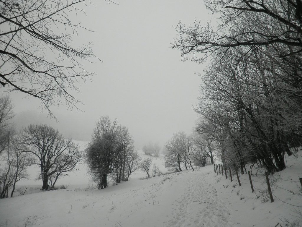 P1170035.JPG