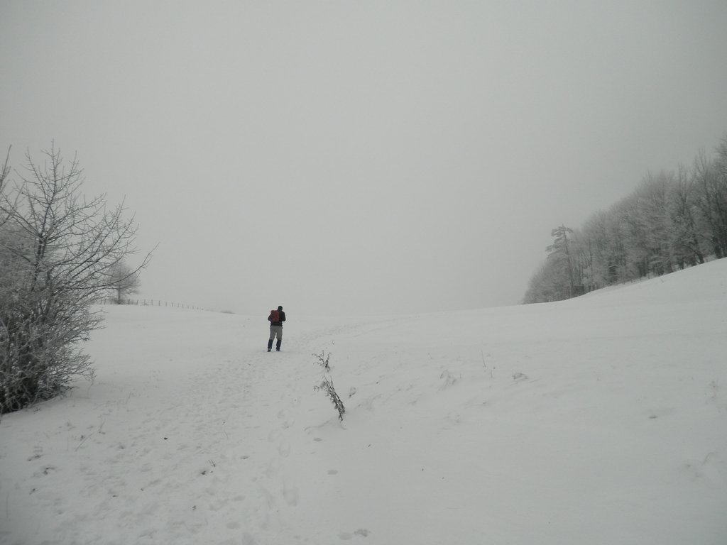 P1170036.JPG