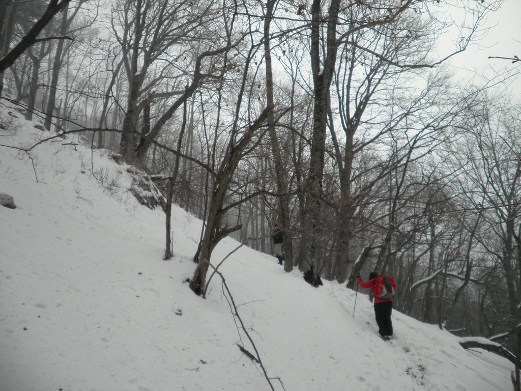 P1170039.JPG