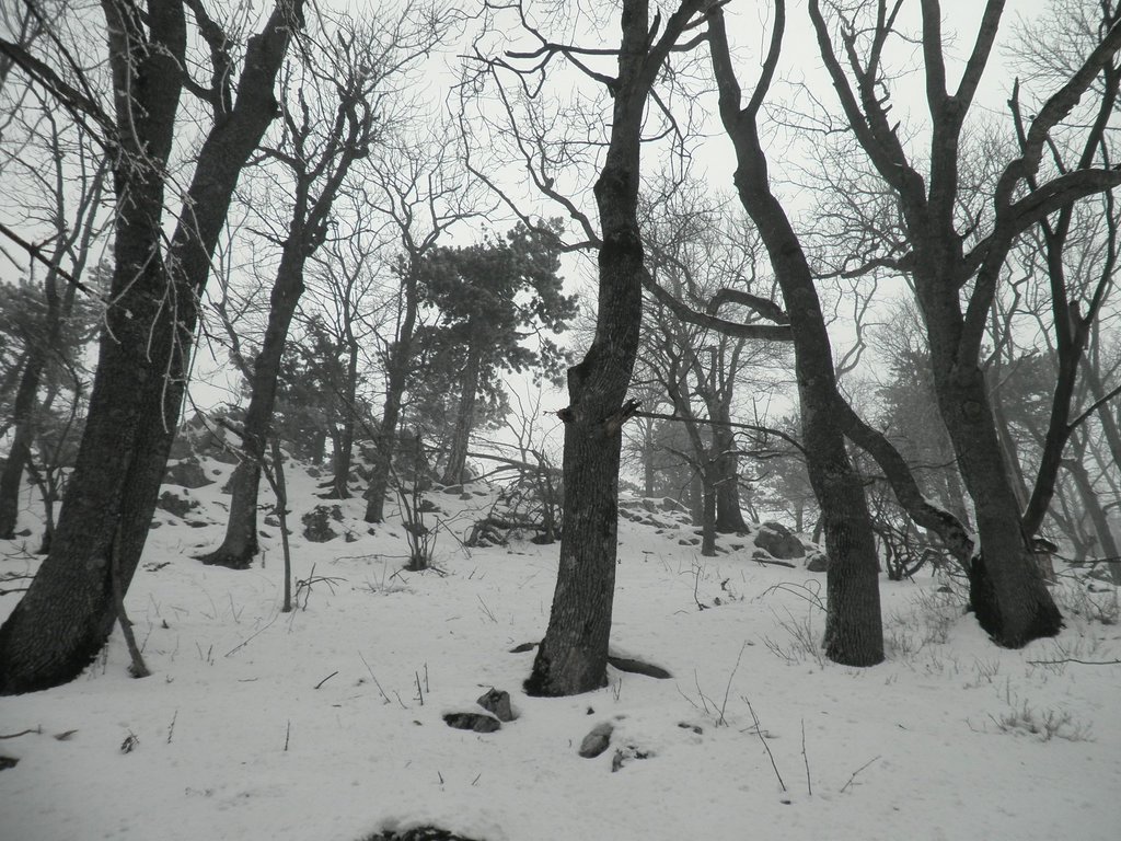 P1170040.JPG