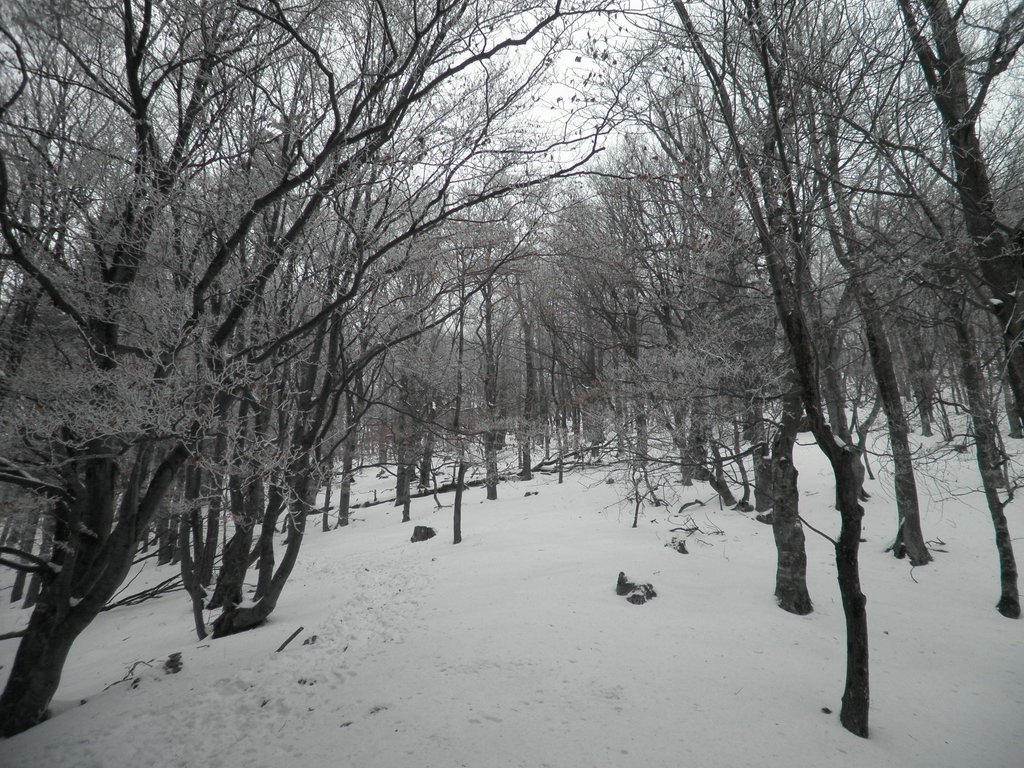 P1170052.JPG