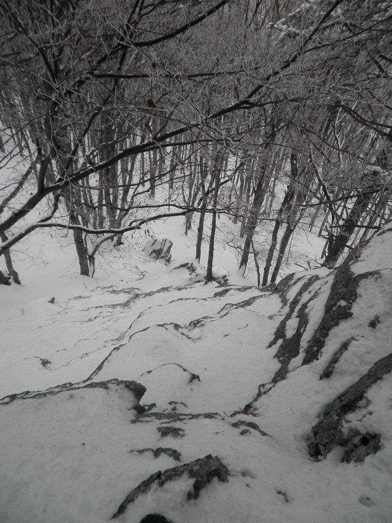 P1170054.JPG