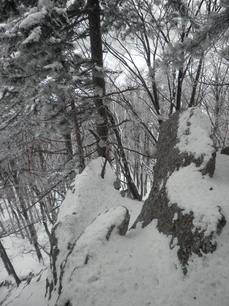 P1170055.JPG