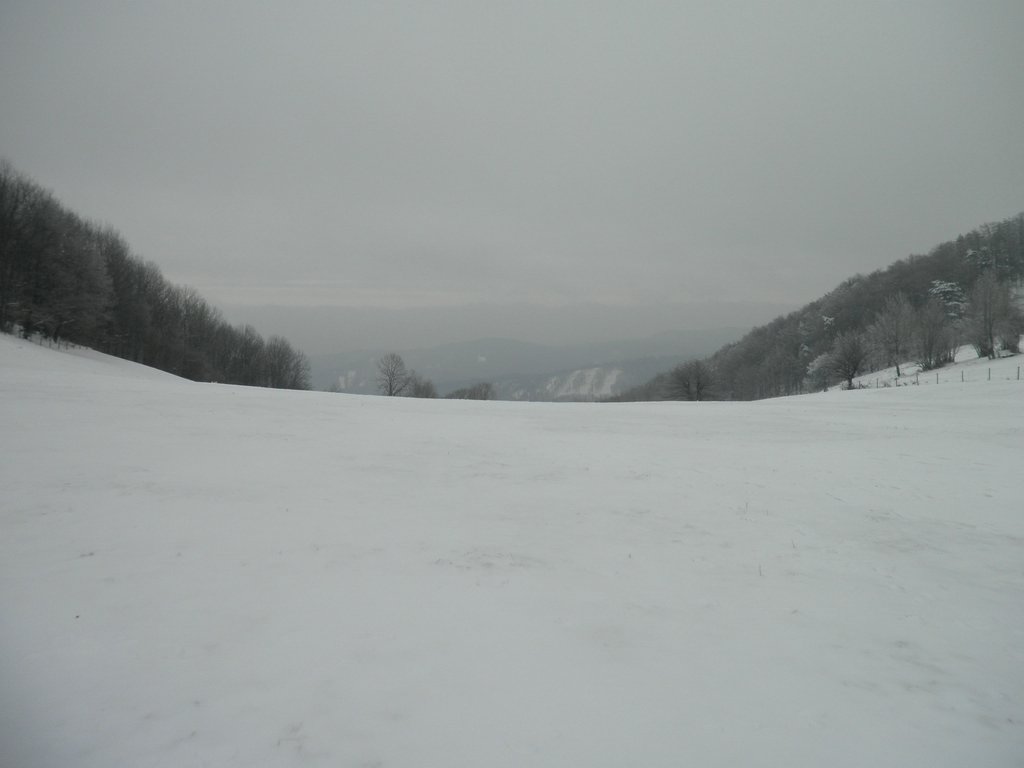 P1170057.JPG