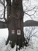 P1170026.JPG