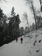 P1170033.JPG