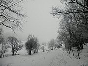P1170035.JPG