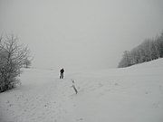 P1170036.JPG