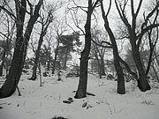 P1170040.JPG
