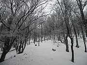 P1170052.JPG