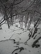 P1170054.JPG