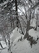 P1170055.JPG