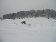 P1170060.JPG