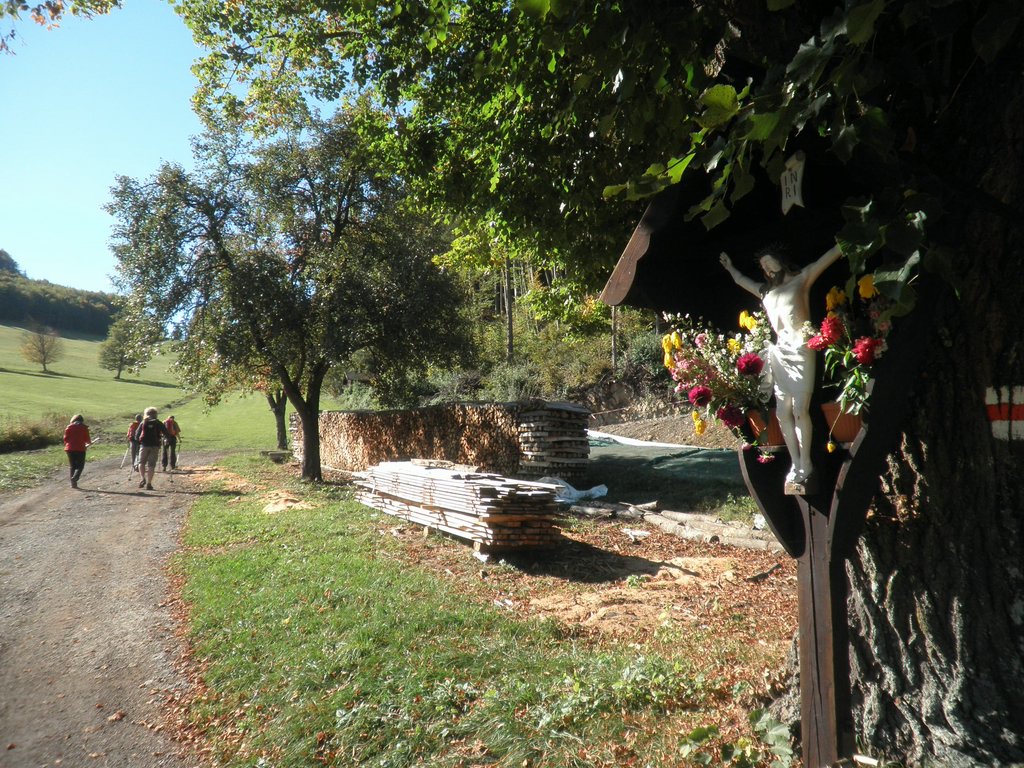 PA140072.JPG