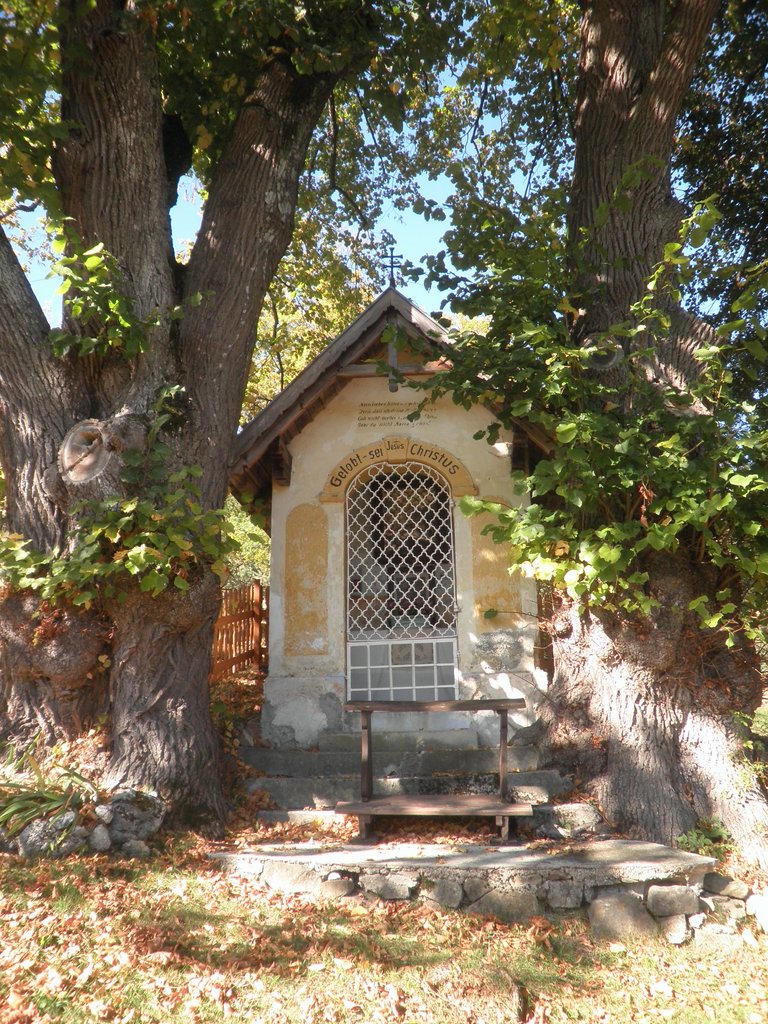 PA140077.JPG
