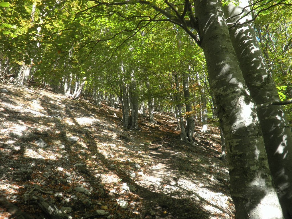 PA140083.JPG
