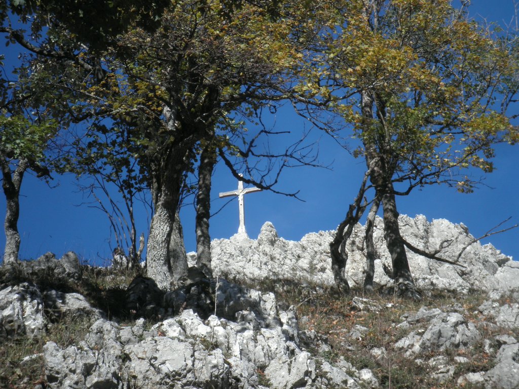 PA140085.JPG