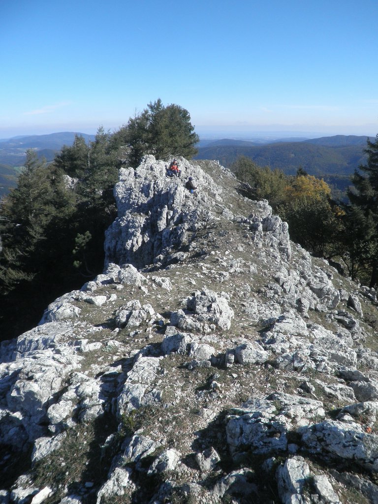 PA140088.JPG