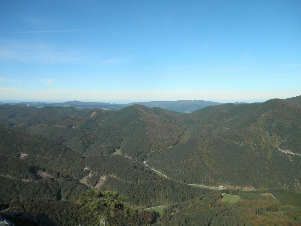 PA140089.JPG