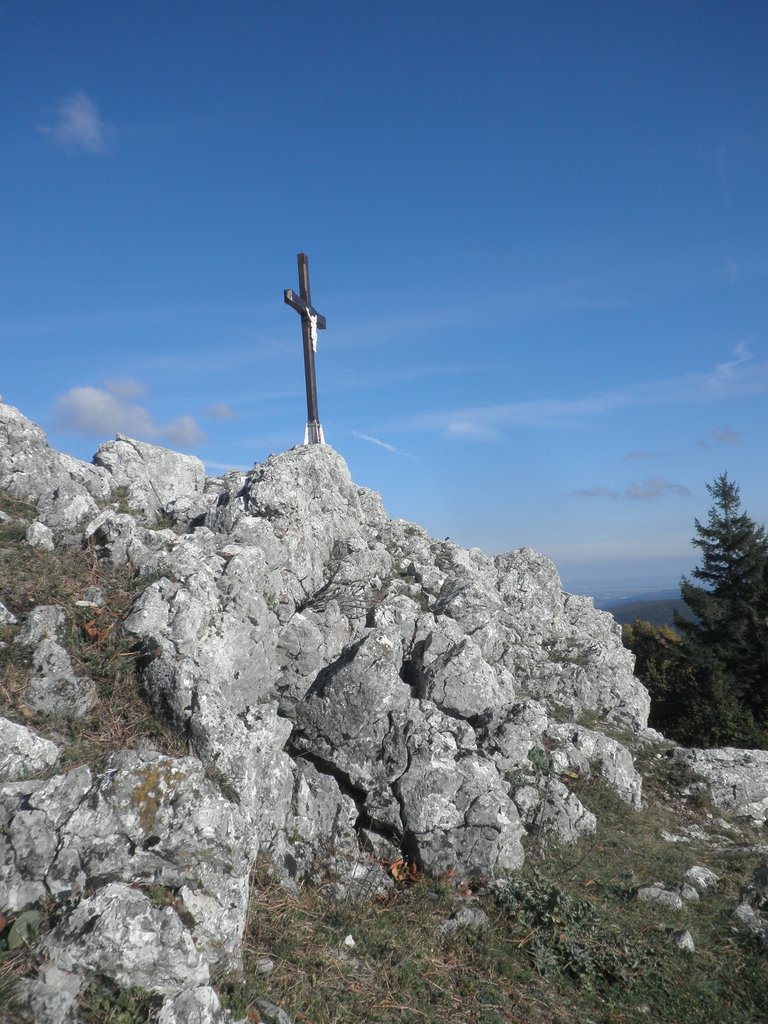 PA140096.JPG