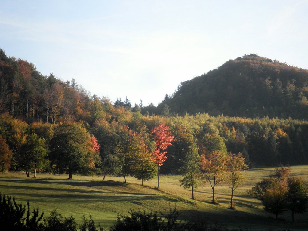 PA140102.JPG