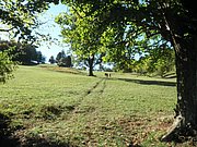 PA140076.JPG