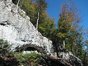PA140080.JPG