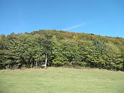 PA140082.JPG
