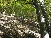 PA140083.JPG
